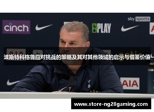 波斯特科格鲁应对挑战的策略及其对其他领域的启示与借鉴价值