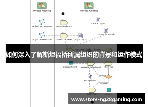 如何深入了解斯坦福桥所属组织的背景和运作模式 如何深入了解斯坦福桥所属组织的背景和运作模式