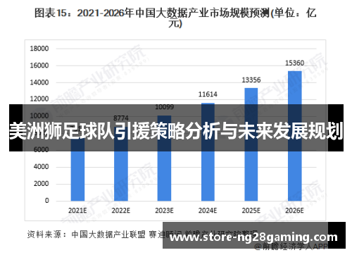 美洲狮足球队引援策略分析与未来发展规划 美洲狮足球队引援策略分析与未来发展规划