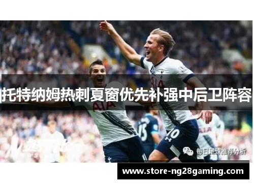 托特纳姆热刺夏窗优先补强中后卫阵容 托特纳姆热刺夏窗优先补强中后卫阵容