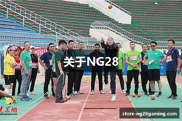 关于NG28
